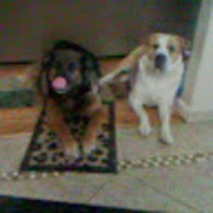 Meet your Posher, Naomi